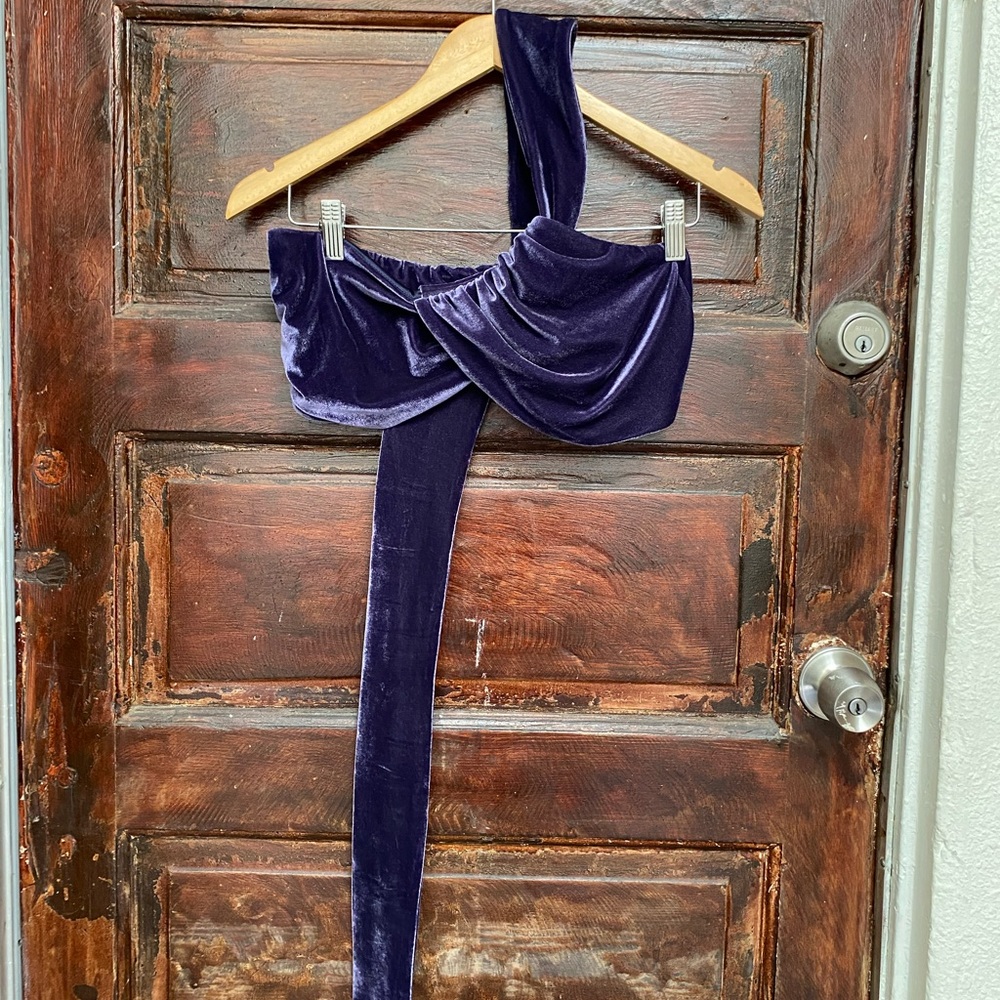 NEW!! Arissa Delilah Purple Crop Top